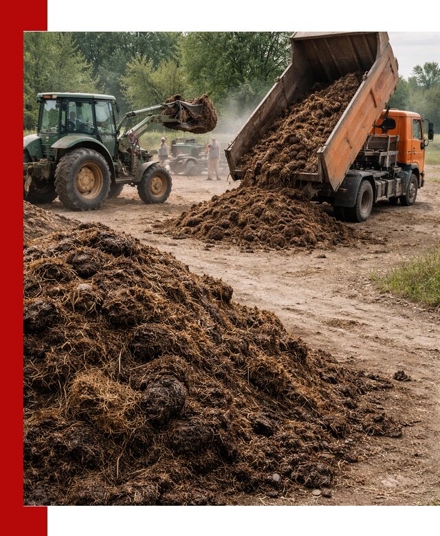 Доставка навоза самосвалами в Мытищах для сельхозпотребностей